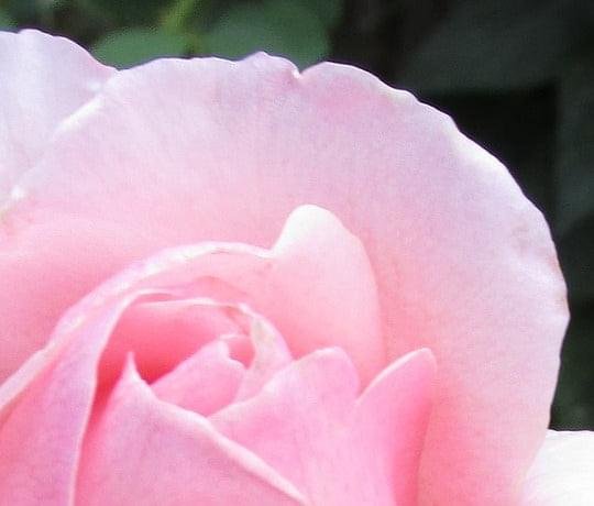 cotton handkerchief with stitching